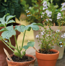 Load image into Gallery viewer, Eco Seed Pencil - Sprout Pencil
