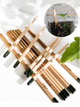 Load image into Gallery viewer, Eco Seed Pencil
